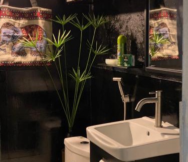 Thoi Binh House | PHẠM Homestay Ca Mau