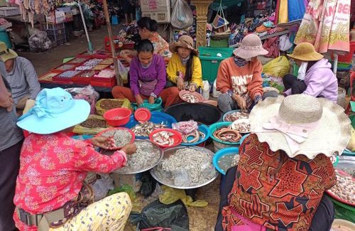 Puok House | Phonluer Angkor Homestay,