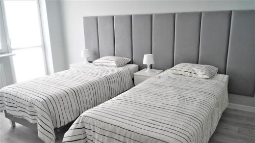 Plock Apartment | Pięćdziesiątka