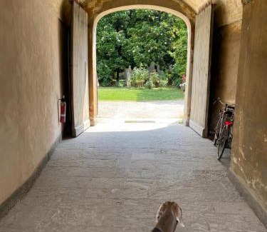 Centro Storico Bed & Breakfast | Piacenza centro