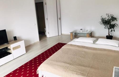 Zarnesti Apartment | Piatra Craiului Residence Zărnești