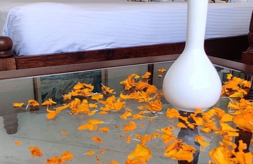 Shavri Colony Hotel | Pichola Lake Retreat