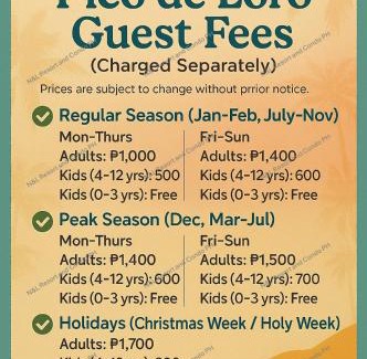 Nasugbu Apartment | PICO DE LORO ACCOMMODATIONS NORMAN AND LOURDES RESORT & CONDO PH