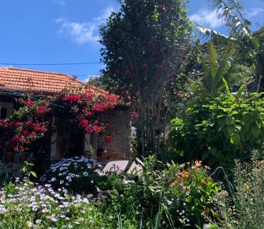 Ponta do Sol House | Pico Paraiso Madeira