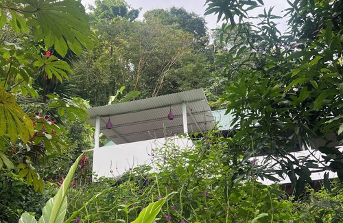 Cahuita House | Picturesque 3-bedroom house with WiFi, AC near Cahuita and Puerto Viejo beach