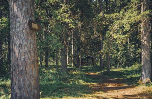 Saaremaa House | Pidula Forell