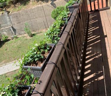 Ricca House | Piedmont Holidays
