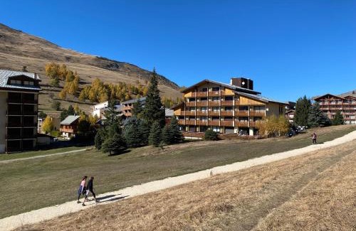 Les Deux Alpes Apartment | Pieds des pistes, 2 alpes, appartement avec très grande terrasse