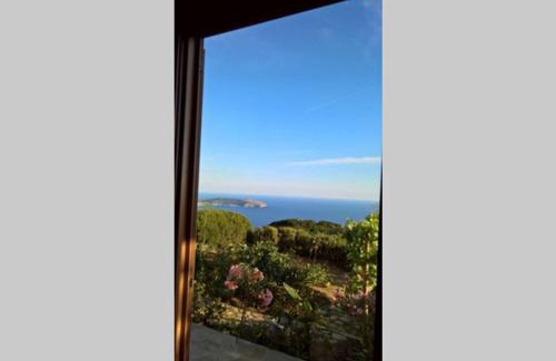 Pisciotta House | Pietra Fiorita Cottage