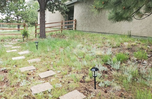 Florissant Apartment | Pikes Peak, Cripple Creek, Col. Springs, Breckenridge, Fossil beds, mountains