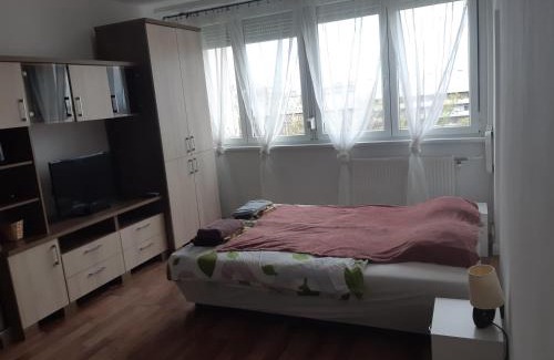 Torokor Apartment | Pillangó parki kis lakás 15 percre a belvárostól