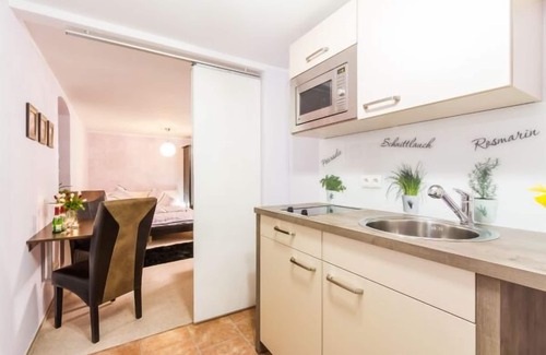 Pillnitz Apartment | Pillnitz vineyard view and castle view