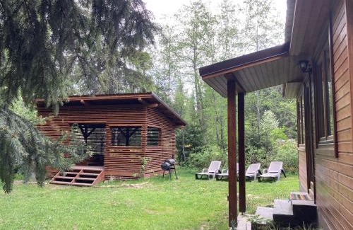 Joseni House | Pin chalet