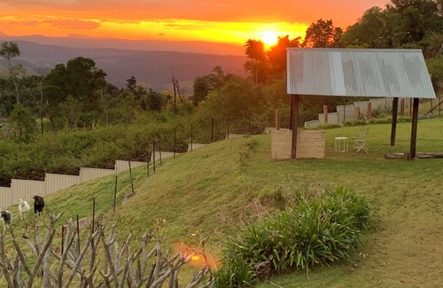 Mallanganee Cabin | Pindari Cottage, Top of the Range