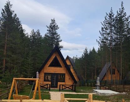 Zabljak Ski Chalet | Pine forest-Black