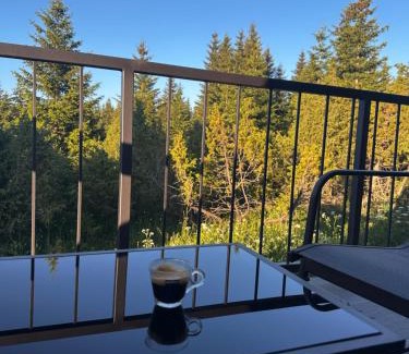 Zabljak House | Pine Forrest Uskoci