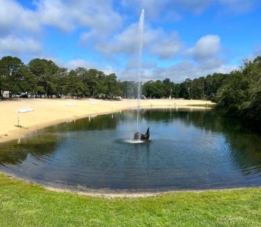 South Seaville Hotel | Pine Haven