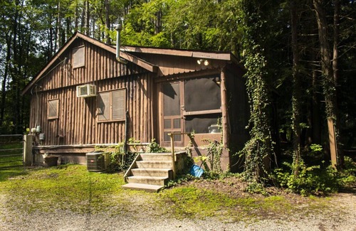 Bainbridge Cabin | Pine Lake Trout Club Cabin #4!
