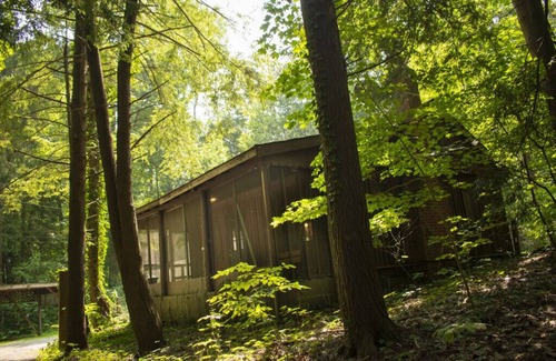 Bainbridge Cabin | Pine Lake Trout Club Cabin #4!