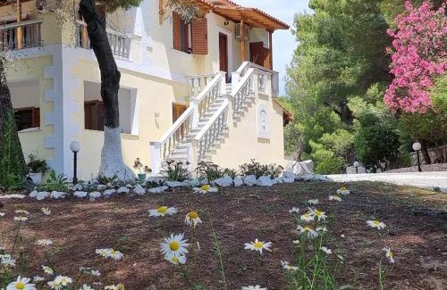Koukounaries Apartment | Pine tree house