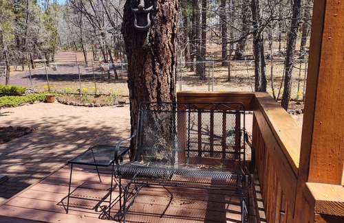 Pinetop House | Pinebear - Beautiful Log-sided Home in the Pines