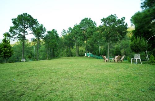 Dharampur Resort | Pineland Resorts & Chalets Kasauli