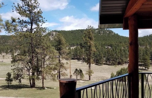 Custer House | *Pinewoods Cabin* Secluded wilderness and wildlife