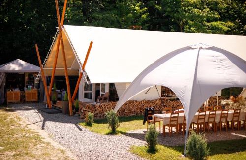 Bughea de Jos Other | PINIALE GLAMPING TRIB
