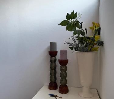 Olivais Bed & Breakfast | Pink House - Lisbon