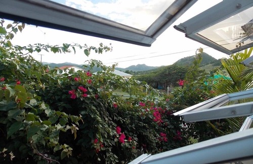 St. John's Cottage | PINKSHACK STUDIO COTTAGE IN JUNGLE THEMED PATIO GARDEN