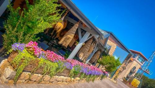 Osenovo House | Pino - Villa, Casa, Cucina е Terrazza