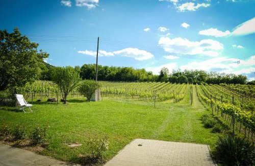 Kaptalantoti House | Pinot Gris House