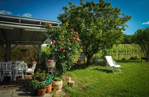 Kaptalantoti House | Pinot Gris House