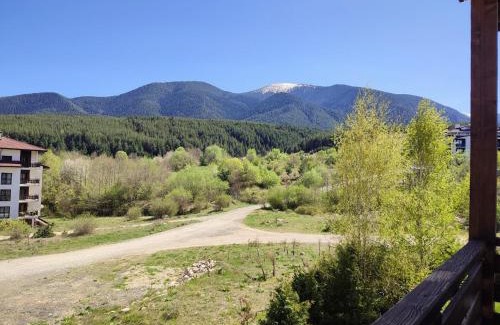 Shiligarnika Apartment | Pirin Heights VIP apartment