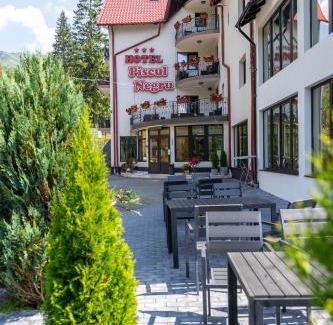 Capatanenii Pamanteni Hotel | Piscul Negru Hotel - Transfagarasan