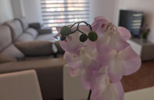 Armilla Apartment | Piso Céntrico Armilla