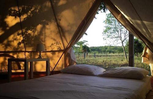 Cabo Rojo Other | Pitahaya Glamping