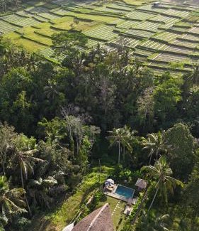 Abiansemal Hotel | Pitu, a Punggul Village Escape