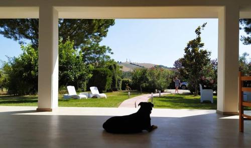Pineto Bed & Breakfast | Pizzacalla