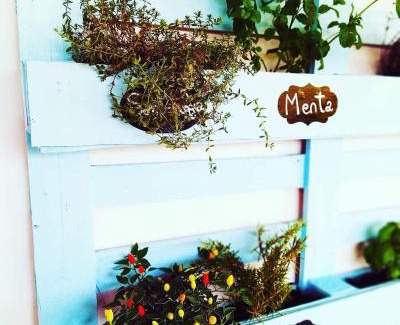 Pineto Bed & Breakfast | Pizzacalla