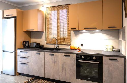 Kardhakata House | Plane Tree House