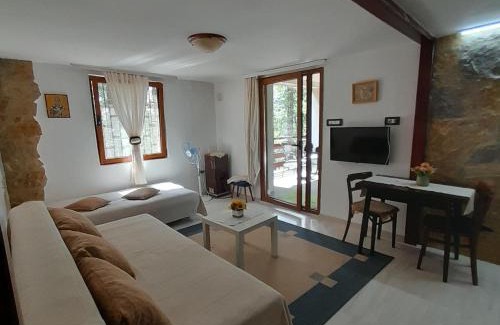 Mladenovac Apartment | Planinska kuća Bukulja