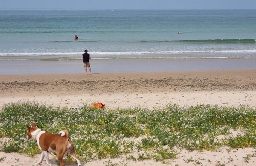 Saint-Maurice-en-Cotentin House | Plantation de poivre- La Petite Rivière
