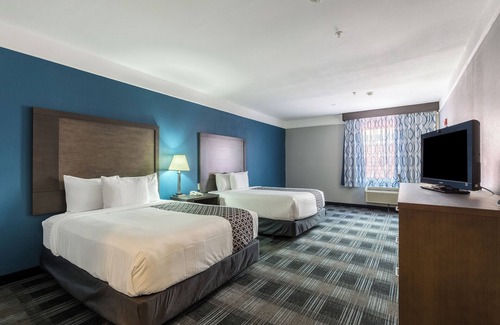 Webster Hotel | Platinum Inn & Suites Webster