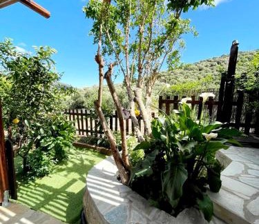 Choumeriakos House | Platipodi stone house