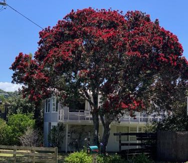 Matapouri House | Playtime Plus - Matapouri Holiday Home