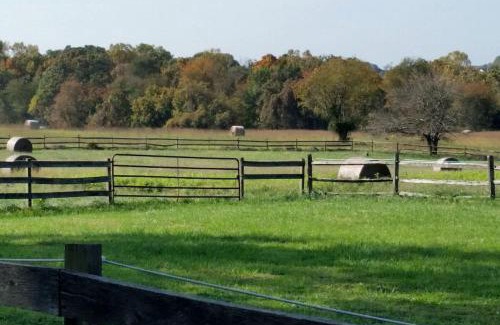 Darnestown House | Pleasant Cozy Airstream with Amazing Stargaze and Farm Views in Maryland