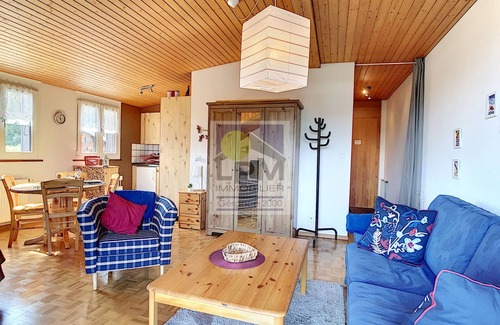 Leysin Ski Chalet | Plein Ciel A10 Spacious 38m2 studio apartment for up to 4 people (2 adults and 2 children), close to