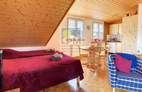 Leysin Ski Chalet | Plein Ciel A10 Spacious 38m2 studio apartment for up to 4 people (2 adults and 2 children), close to