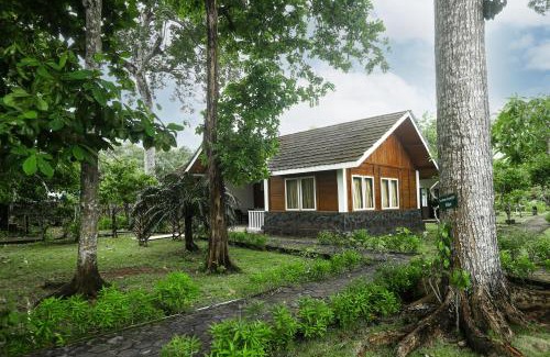Sumberasri Hotel | Plengkung Lodge G-Land